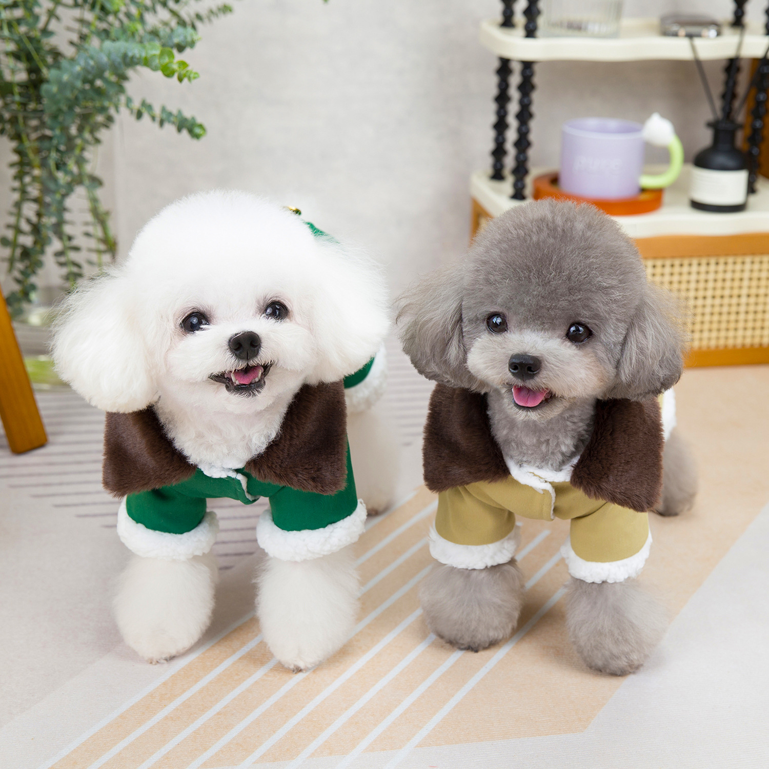 犬服 星刺繍入りダブルボタン襟付き四足犬服コート