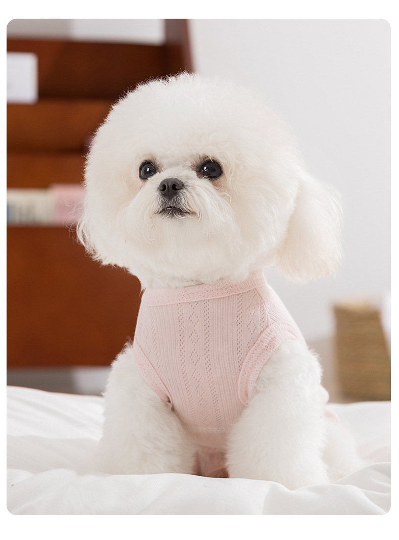 https://fulmo-img-server.com/perry-dog/2da8bb0e-bcee-4fda-bc79-03b42bdcd2c1.jpg