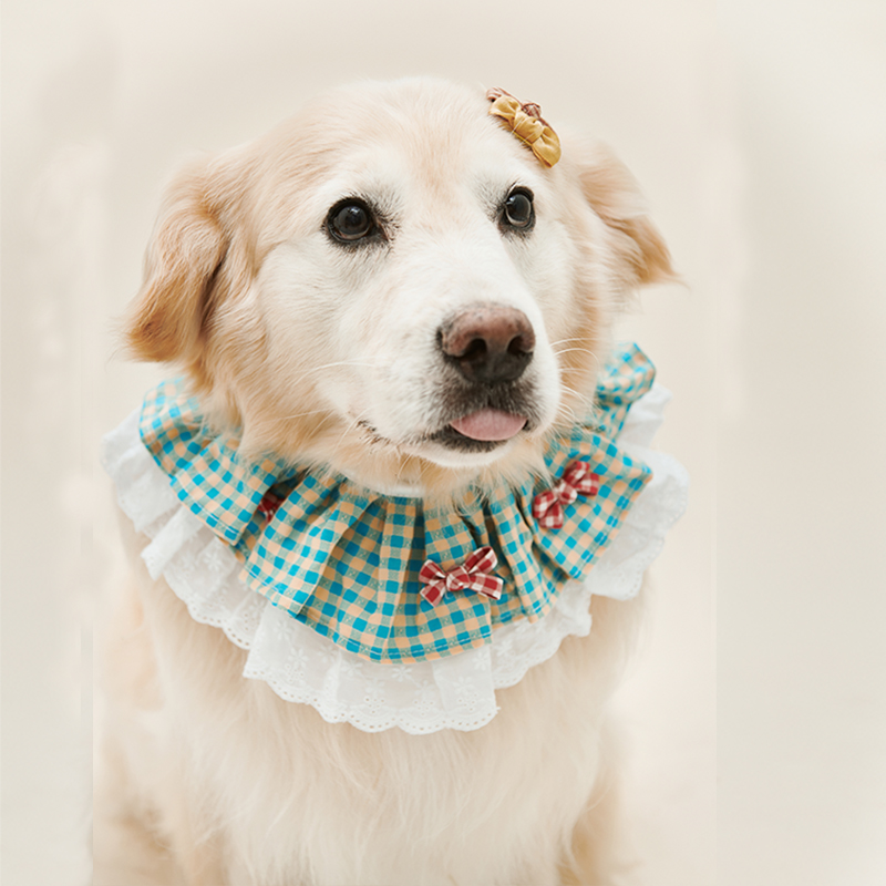 犬服 大型犬用チェック柄フリルつけ襟リボン飾り