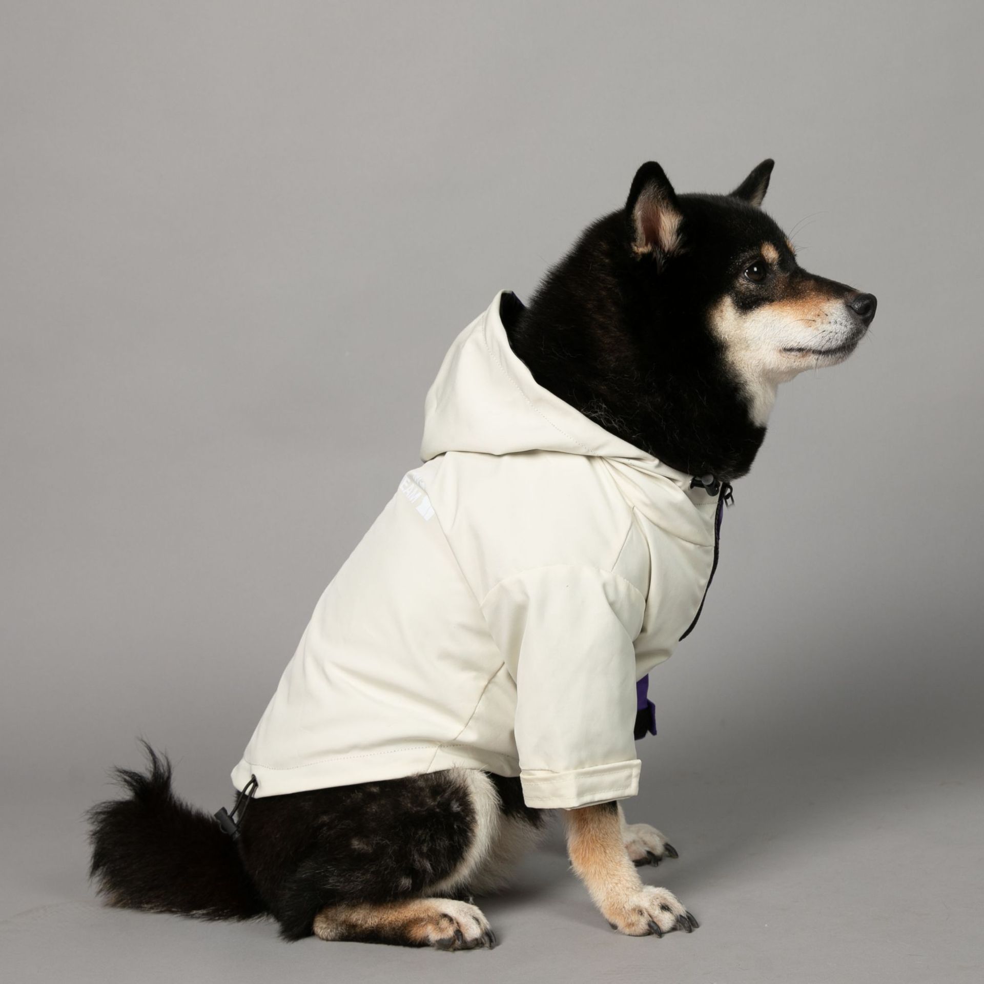 https://fulmo-img-server.com/perry-dog/2f6f4d9e-3fd7-46fd-8de1-f20e01dfa517.jpg