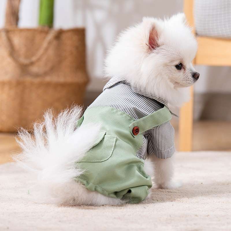 犬服  ふわもこワンちゃんのオシャレつなぎ