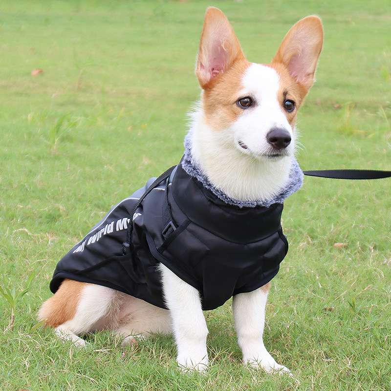 犬服 全天候型アウトドア犬用ジャケット