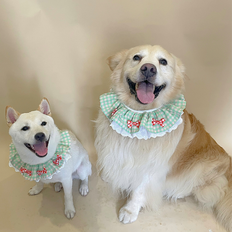 犬服 大型犬用チェック柄フリルつけ襟リボン飾り