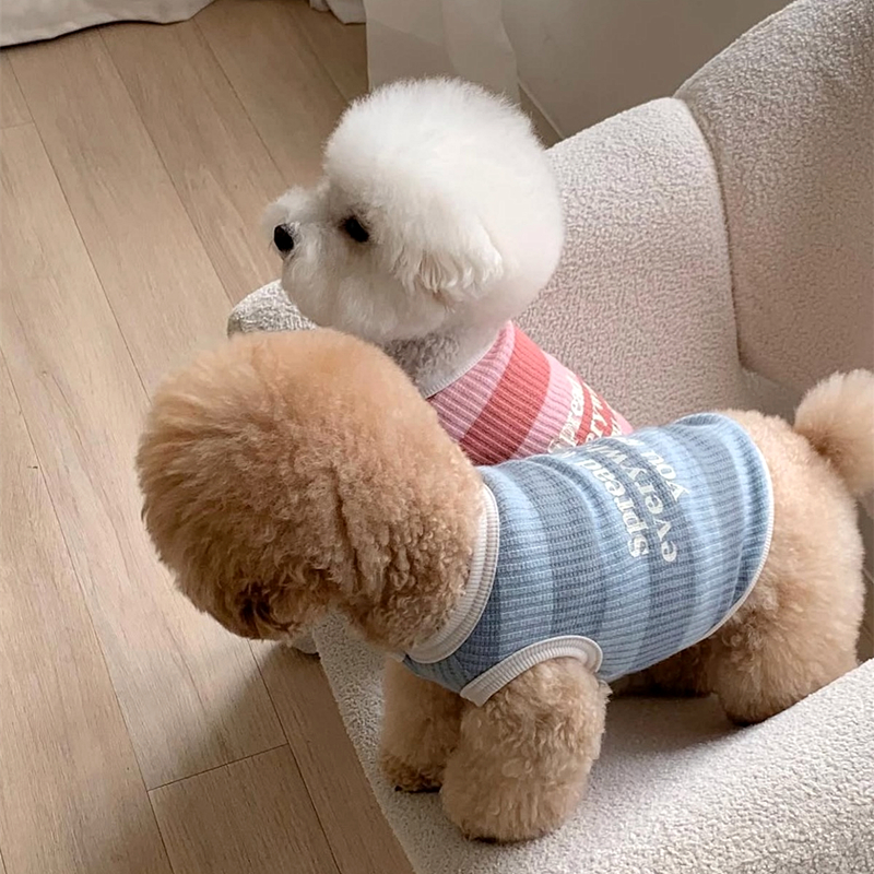 犬服 愛犬へのメッセージ入りボーダーＴシャツ