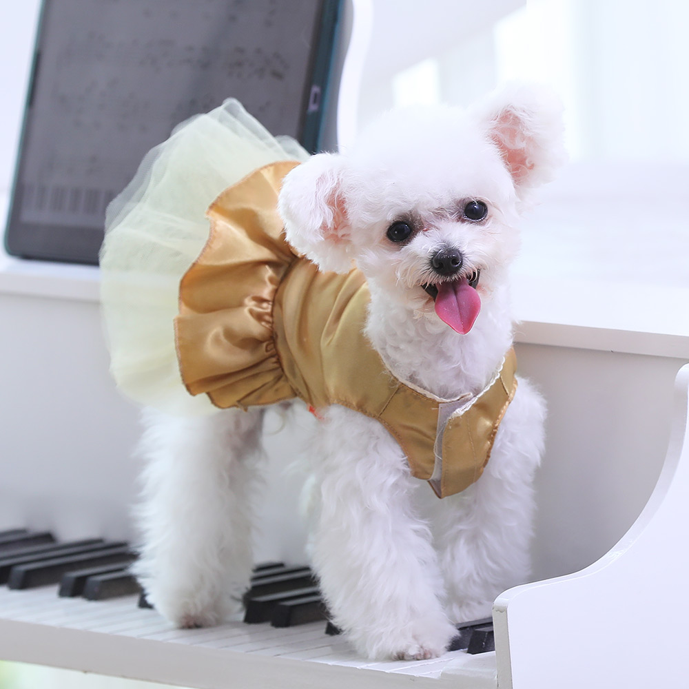 犬服 小型犬用エレガントレース付きチュチュドレス