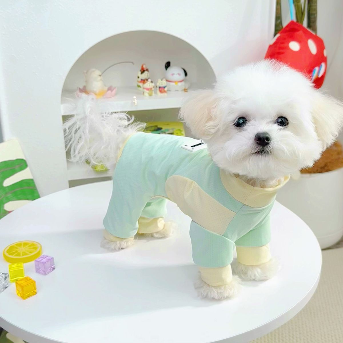 犬服 ひんやりパステルつなぎ