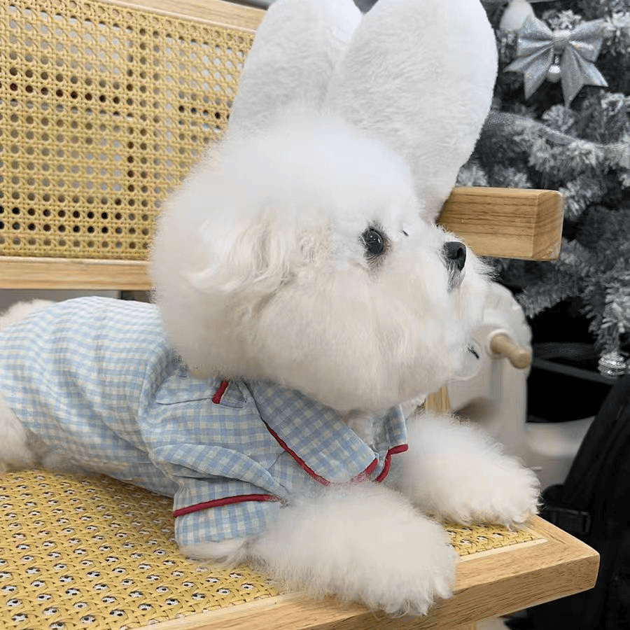 犬服 ふわもこ格子柄おやすみパジャマ