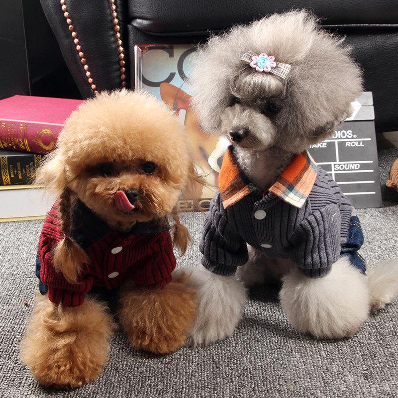 犬服 チェック襟付きリブニットベスト風デニムパンツセット