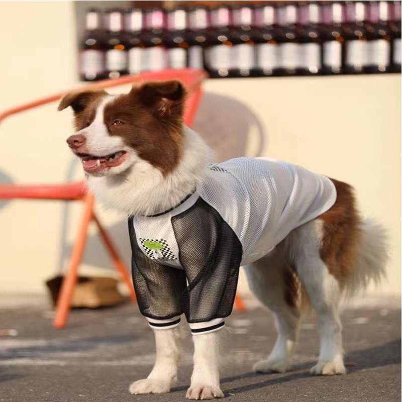 犬服  スポーティーメッシュTシャツ