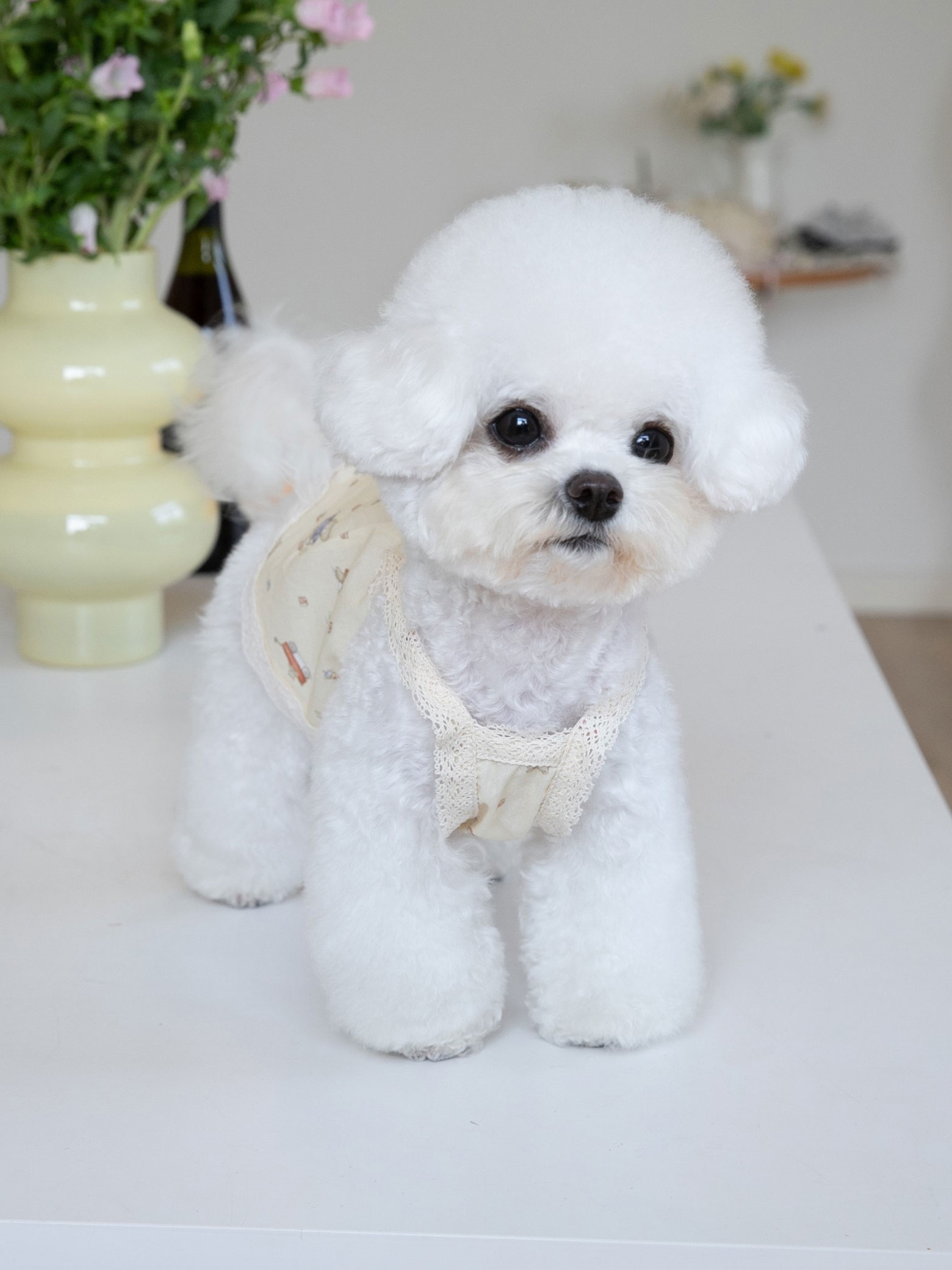 犬服 おやすみ小花レースパジャマ