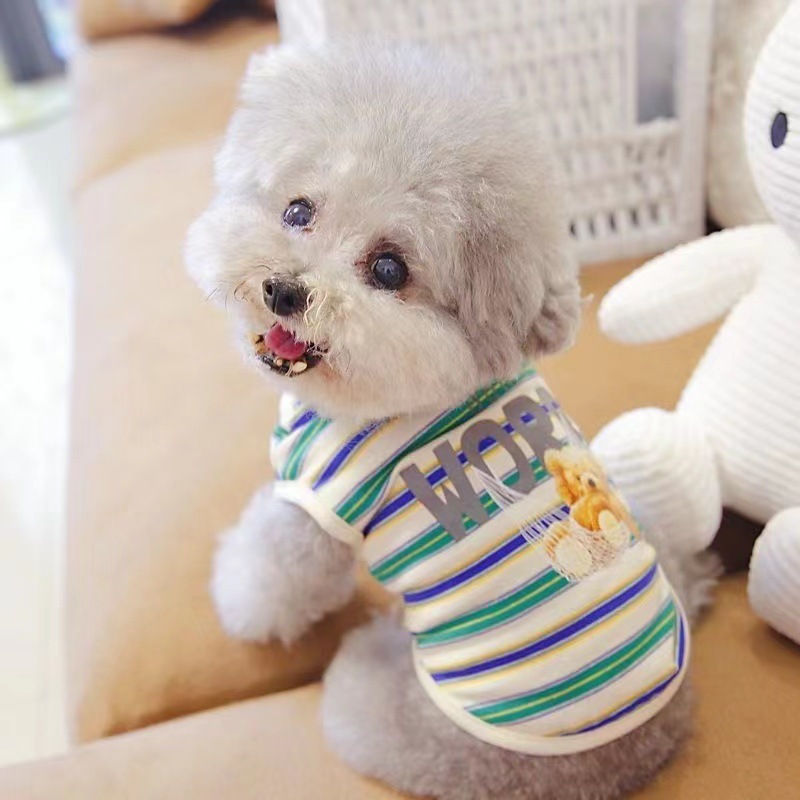 https://fulmo-img-server.com/perry-dog/33fc64a2-3709-464e-bf6d-5a2db54ac7df.jpg