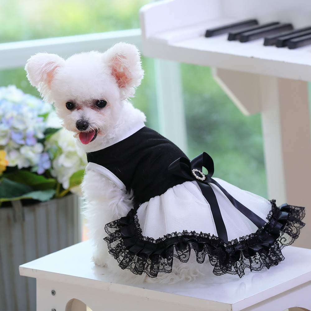 犬服 小型犬用エレガントレース付きチュチュドレス