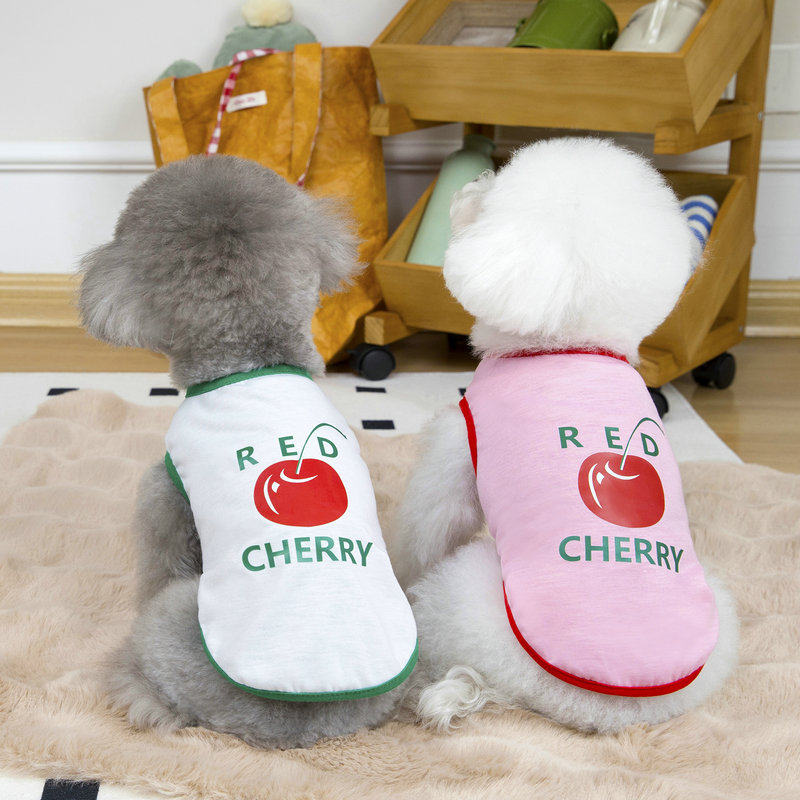 https://fulmo-img-server.com/perry-dog/3466bb47-a641-404d-8166-421b8fafe4b9.jpg