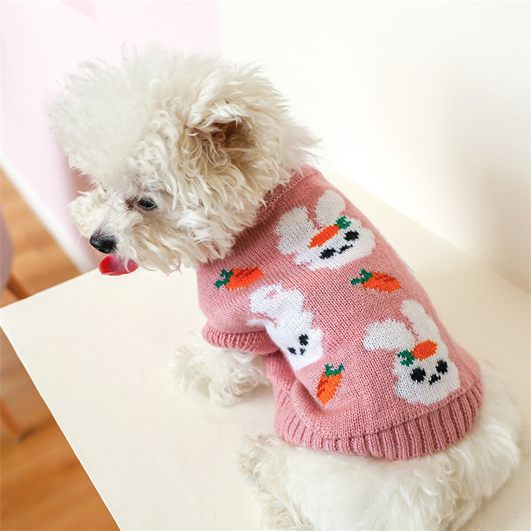 https://fulmo-img-server.com/perry-dog/353a9c9a-e2fb-40a5-b3e1-c5b0ff1804a7.jpg