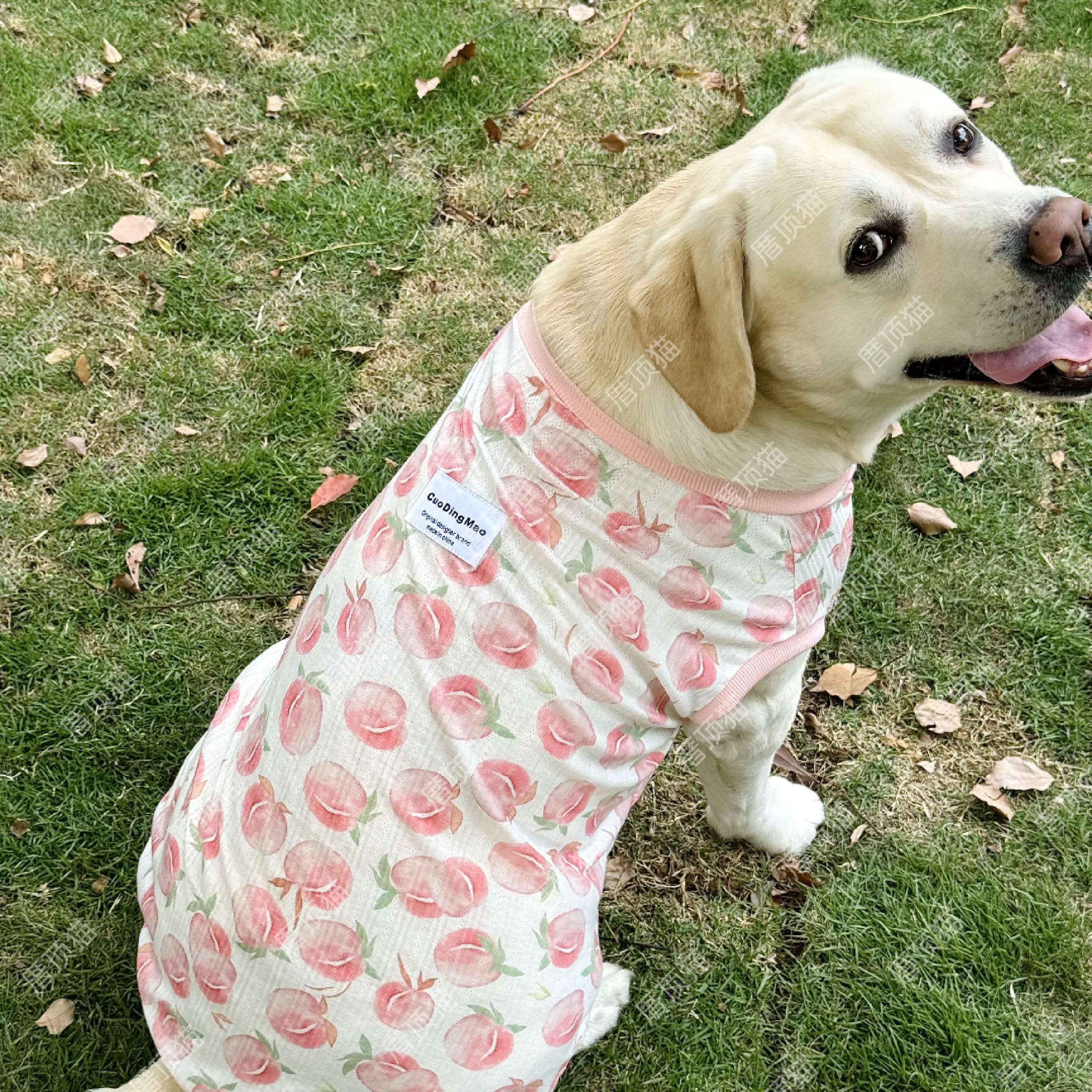 犬服  大型犬用さわやか桃柄タンクトップ