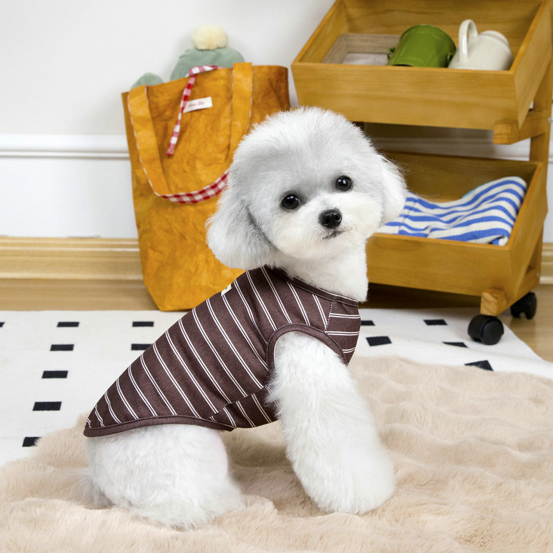 https://fulmo-img-server.com/perry-dog/35ec646a-5ff9-4e5a-9a57-4805fa978eb0.jpg