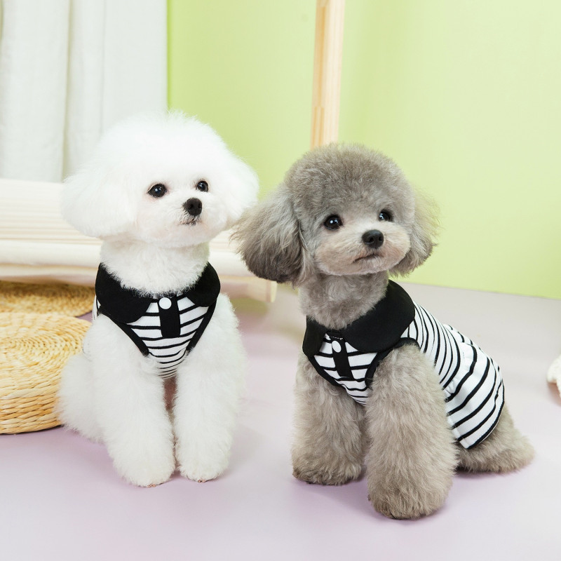 https://fulmo-img-server.com/perry-dog/3660c06b-9242-4e0e-90ce-a5708d616e10.jpg