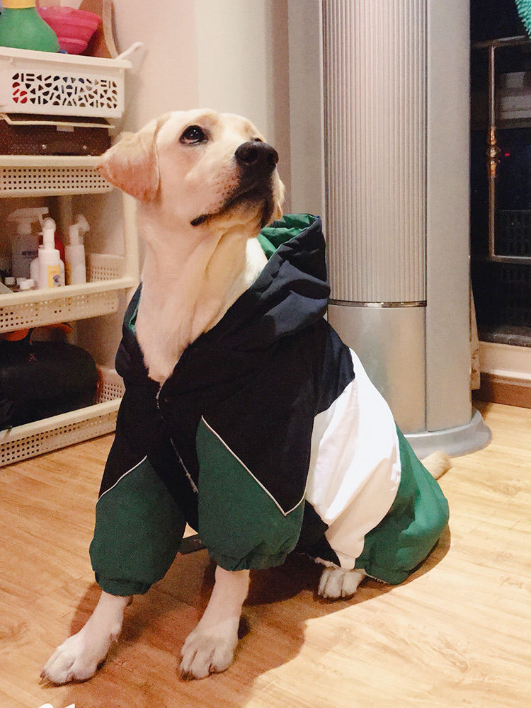 犬服 大型犬用スポーティー配色切替フード付きジャンプスーツ