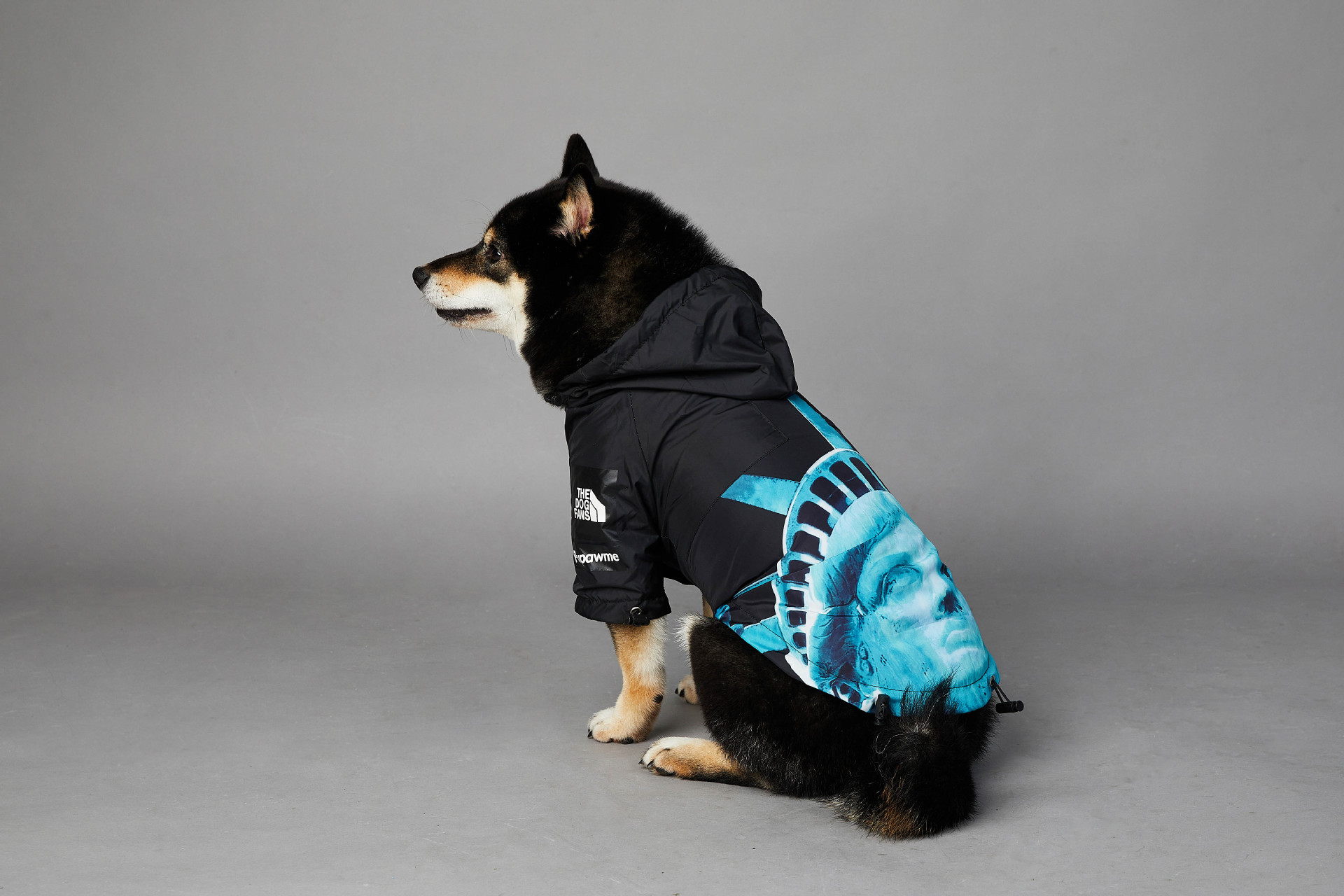 https://fulmo-img-server.com/perry-dog/36f8f59f-8f88-46f9-9218-694184b0ac10.jpg