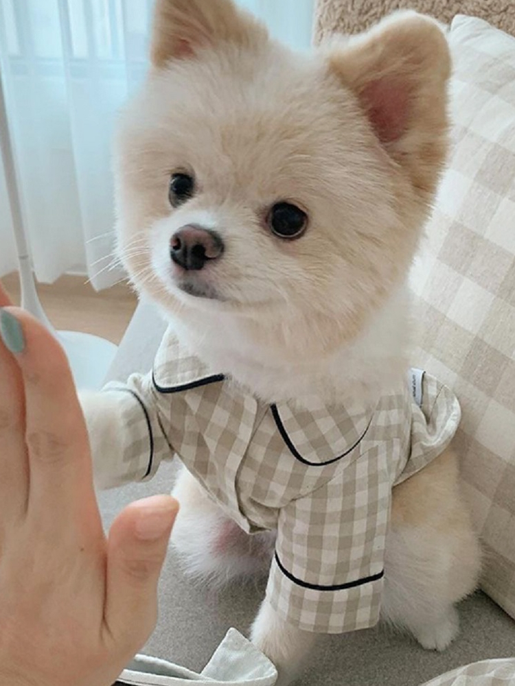 犬服 おやすみ格子模様パジャマ