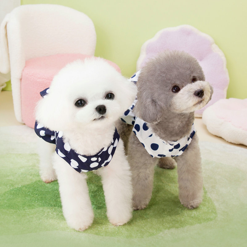 https://fulmo-img-server.com/perry-dog/38594f99-0ea8-4eaf-8bf1-2eb3bf4559c9.jpg