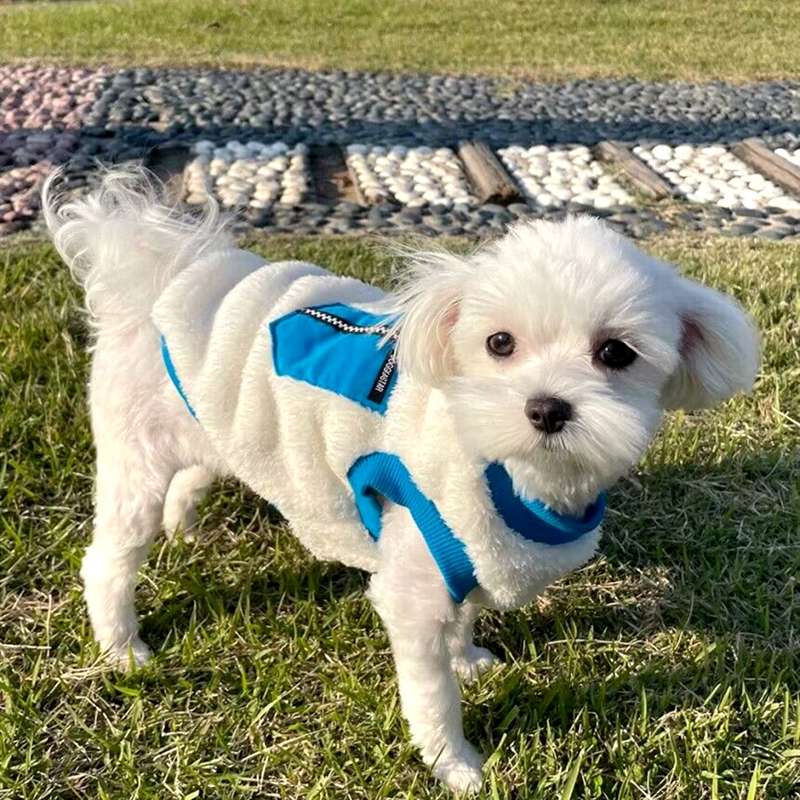 ×犬服 もこもこペット用ベスト