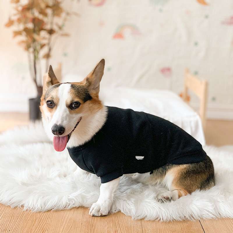 犬服  コーギーのための快適タンクトップ