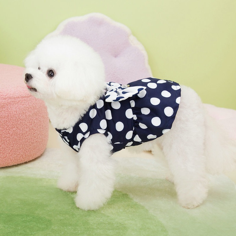 https://fulmo-img-server.com/perry-dog/3a044bd5-88e5-42fa-875a-de883ea66d21.jpg