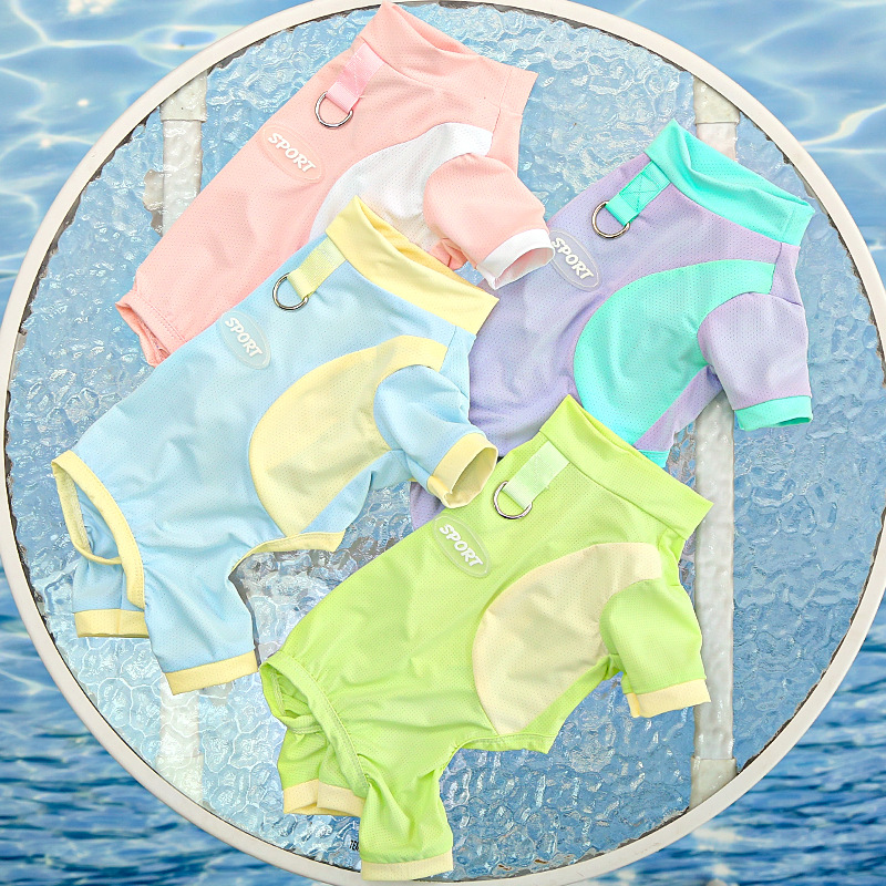 爽やかスポーティー切替デザイン犬服Tシャツ