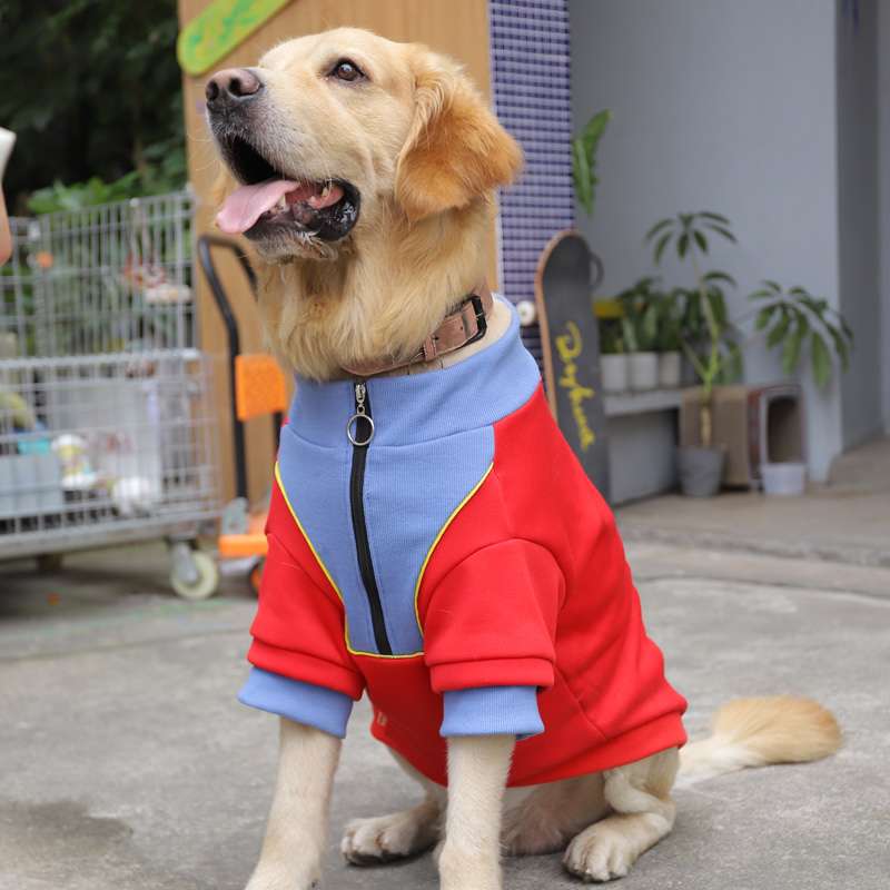 犬服  大型犬用ハッピーデー柄スポーツウェアTシャツ