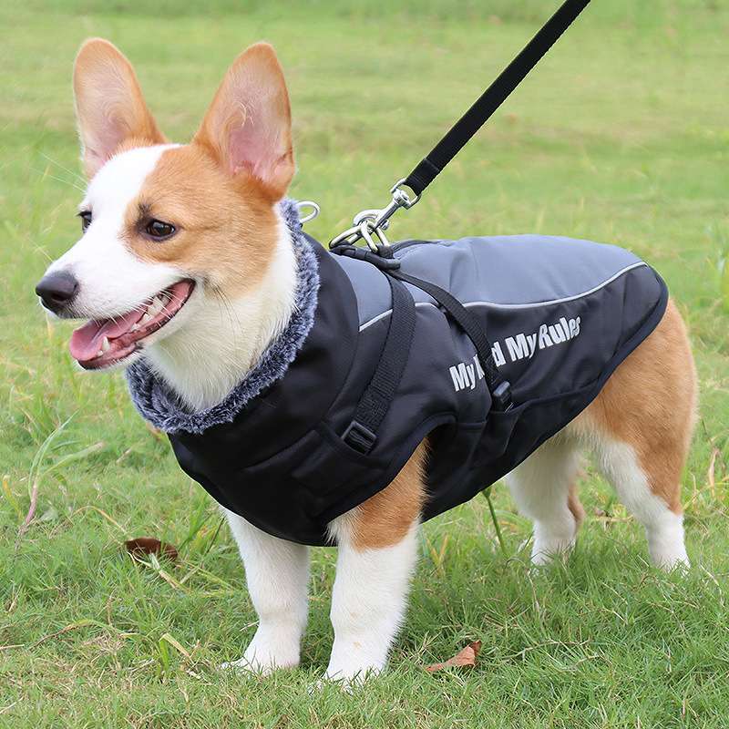 犬服 全天候型アウトドア犬用ジャケット