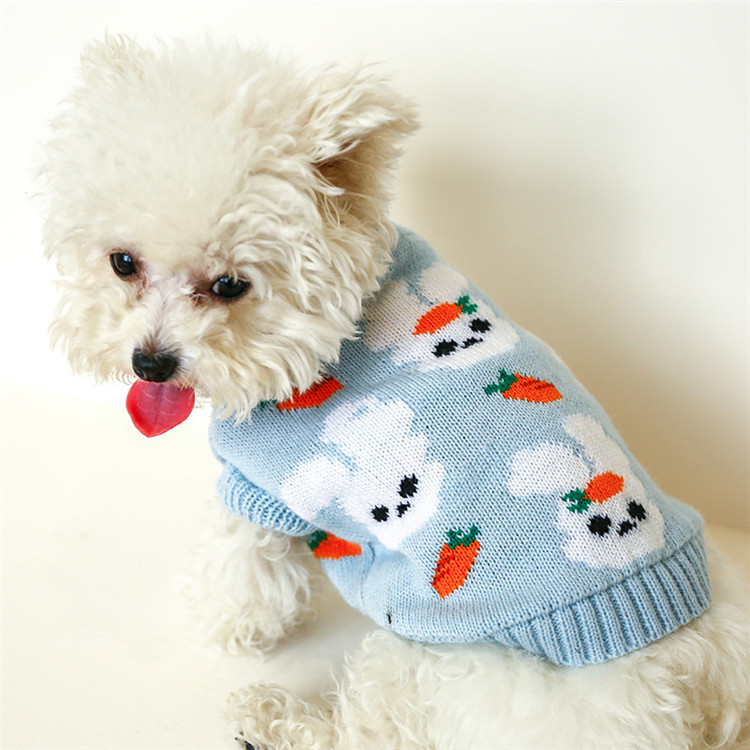 https://fulmo-img-server.com/perry-dog/3bf18e4f-9306-41cc-bb62-2fe87f806a88.jpg