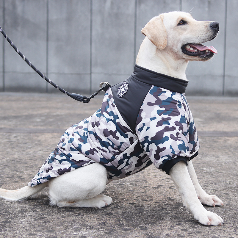 犬服 招き猫と花柄刺繍入り中綿入り防寒着