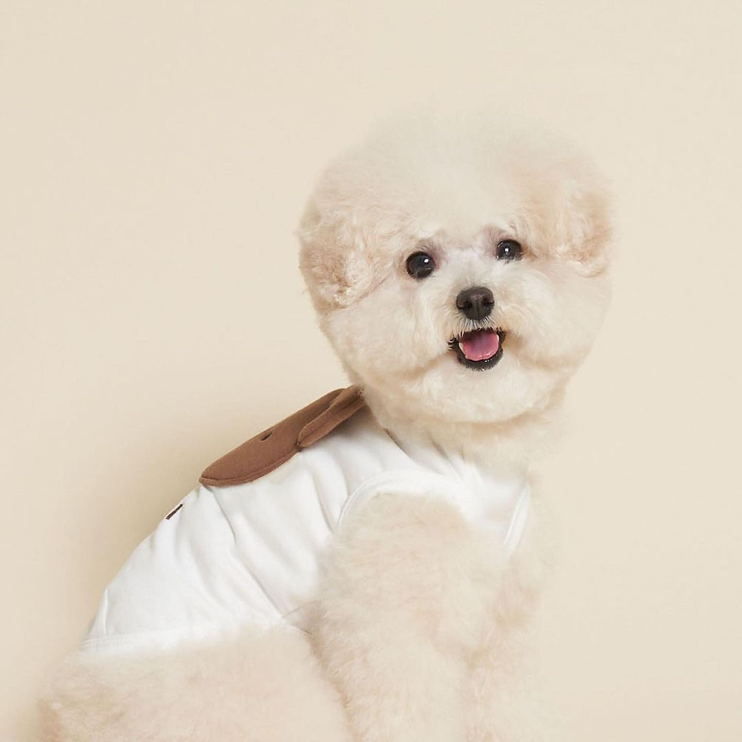 犬服 くまさんなりきりパジャマ