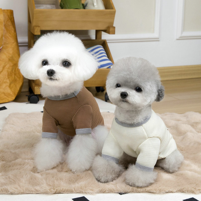 https://fulmo-img-server.com/perry-dog/3d81b219-3f5a-41fc-82fe-918ed9d7a57e.jpg