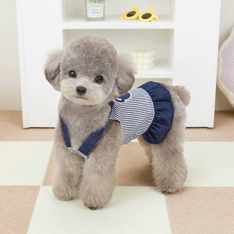 https://fulmo-img-server.com/perry-dog/3dc3be0c-ae52-4aab-8702-df4cd1dde031.jpg