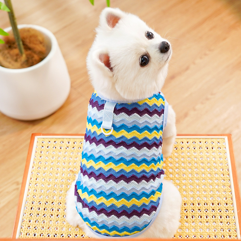 犬服 虹色波模様の温かニットベスト