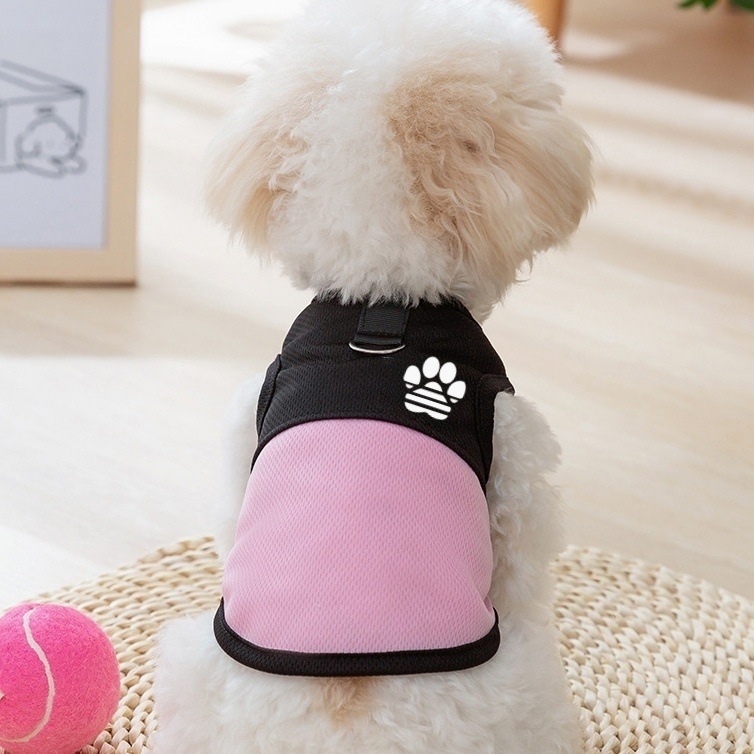 https://fulmo-img-server.com/perry-dog/3ed72670-e2d5-4132-82d1-70e458841f4b.jpg