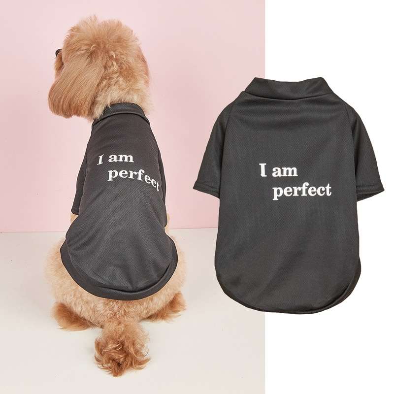 犬服  自信満々ペット用Tシャツ