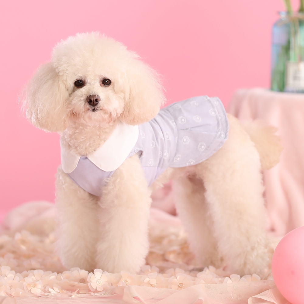 丸襟付き花柄袖切替ワンピース型犬服