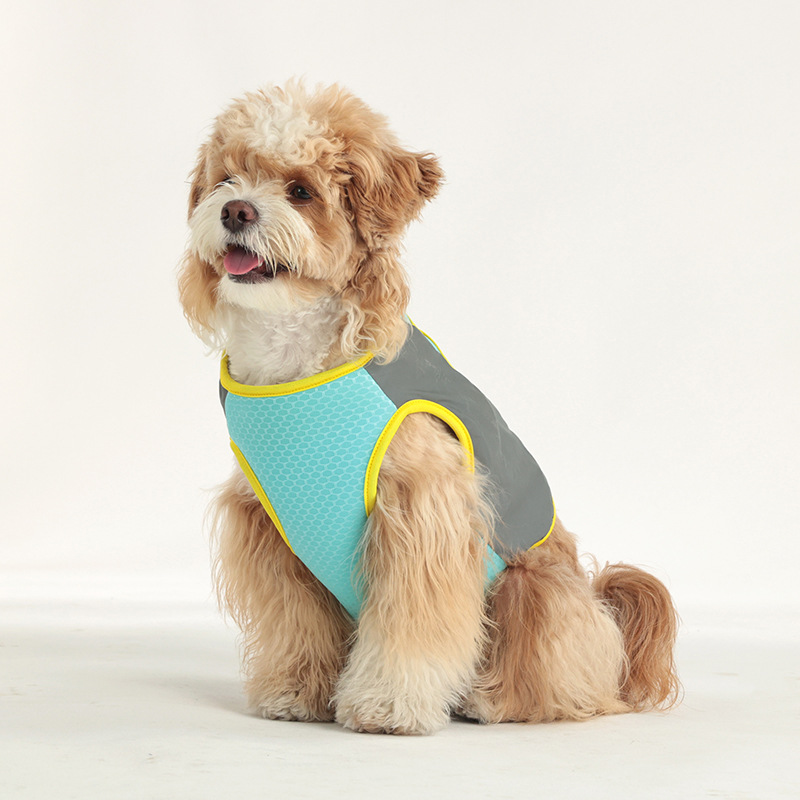 https://fulmo-img-server.com/perry-dog/3f237b01-1ca1-4015-b28f-5f18ada6932d.jpg