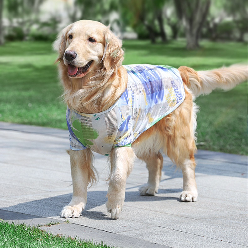 https://fulmo-img-server.com/perry-dog/3f3ccf45-7952-4125-a0c0-446cdf653e17.jpg