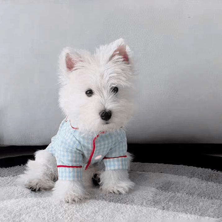 犬服 ふわもこ格子柄おやすみパジャマ