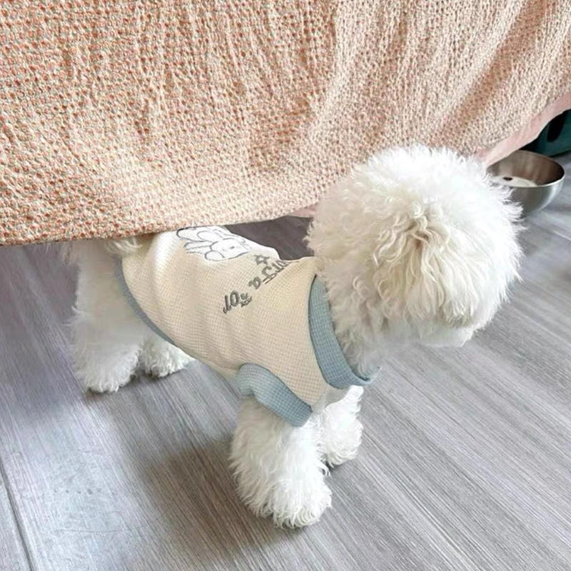 https://fulmo-img-server.com/perry-dog/40b60ae8-587c-4169-b75b-6562c3cacff9.jpg
