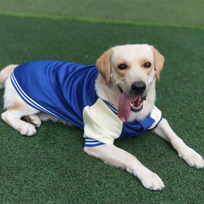 犬服  スポーティ大型犬用ジャージ