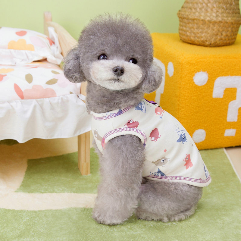https://fulmo-img-server.com/perry-dog/41b3f5cf-0671-4118-8234-54ca93db41b6.jpg