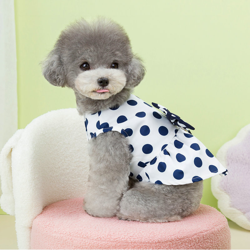 https://fulmo-img-server.com/perry-dog/41e4b763-391c-438c-8d41-28f885fe2d78.jpg