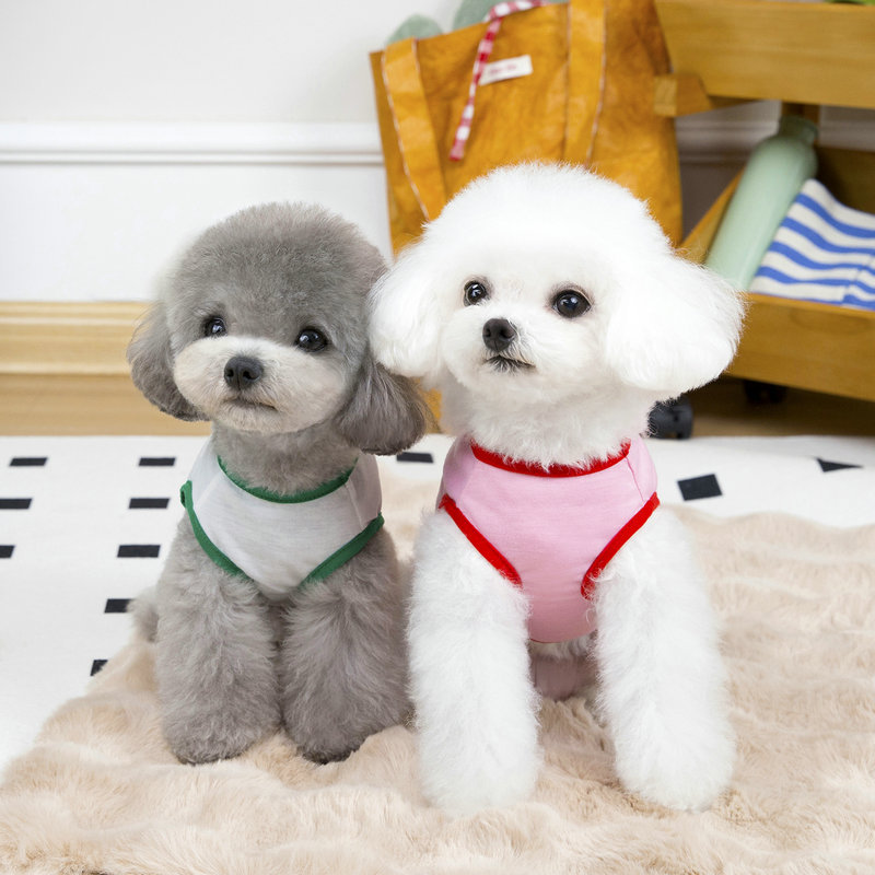 https://fulmo-img-server.com/perry-dog/44284086-205b-49e6-872a-103d5bd40e8c.jpg