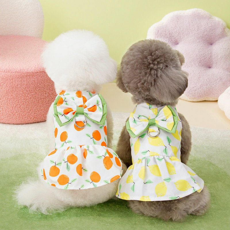 https://fulmo-img-server.com/perry-dog/444114fe-d1a4-4e92-a921-ab13de46be5e.jpg