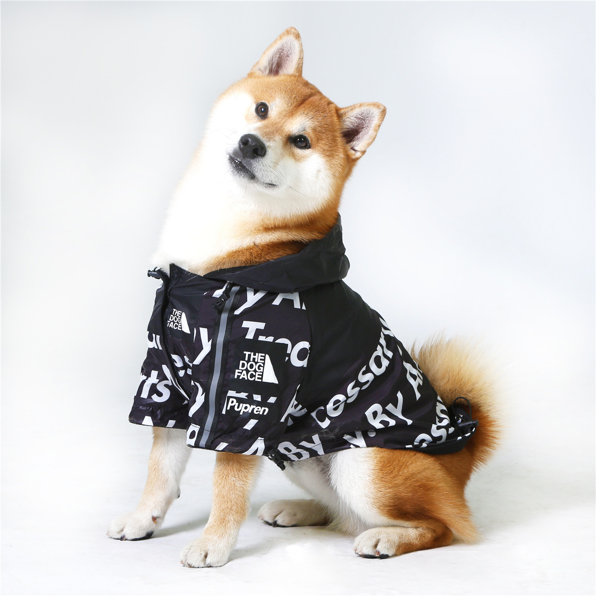 https://fulmo-img-server.com/perry-dog/448faa7c-cf57-4eca-b066-a5c5fe27bbfa.jpg